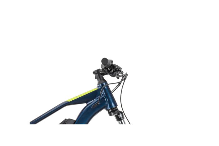 Raymon HardRay E 1.0 - 400 Wh - 29 Zoll - Diamant