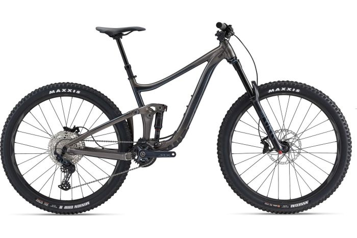 Giant Reign - 29 Zoll - Fully - Aktion