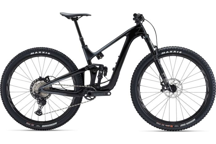 Giant Trance Advanced Pro 1 - 29 Zoll - Fully - Aktion