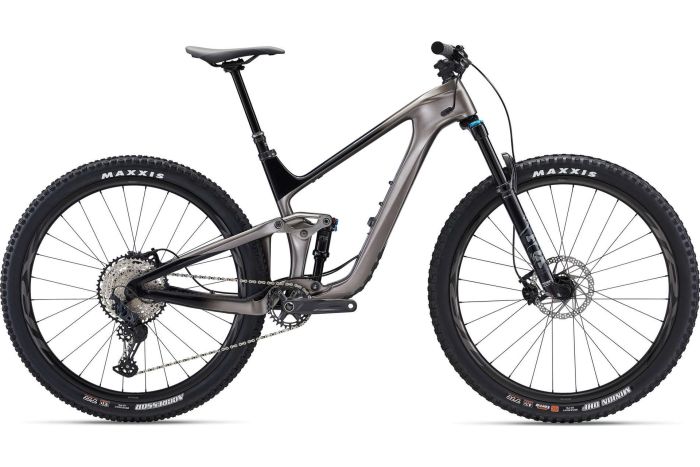 Giant Trance Advanced Pro 2 - 29 Zoll - Fully - Aktion