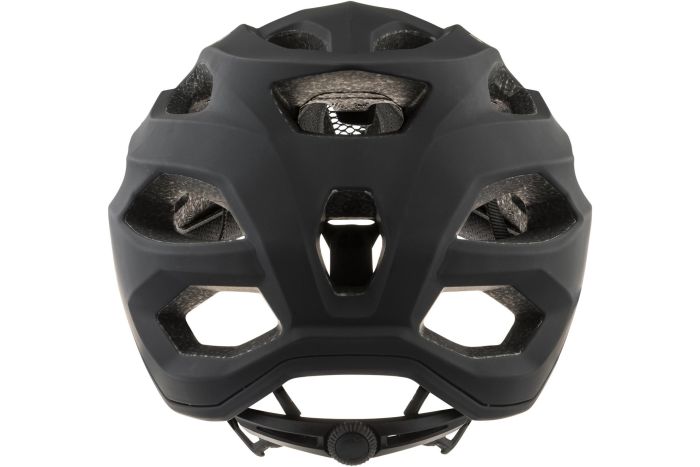 Alpina Carapax 2.0