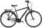 Carver Cityzen 120 - 28 Zoll - Diamant - 2024
