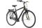 Carver Cityzen 120 - 28 Zoll - Diamant - 2024