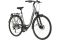Carver Tour 130 - 28 Zoll - Tiefeinsteiger - 2024
