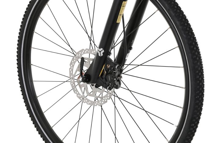 Carver Cinos 140 - 28 Zoll - Damen Sport - 2024