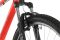 Carver Strict 100 - 29 Zoll - Diamant - 2024