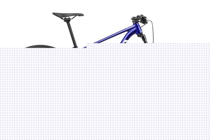 Orbea Onna 29 10 - 29 Zoll - Diamant - Aktion