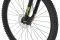 Carver Strict 150 - 29 Zoll - Diamant - 2023