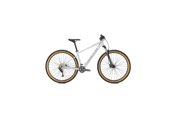 Focus Whistler 3.8 - 29 Zoll - Diamant - Aktion