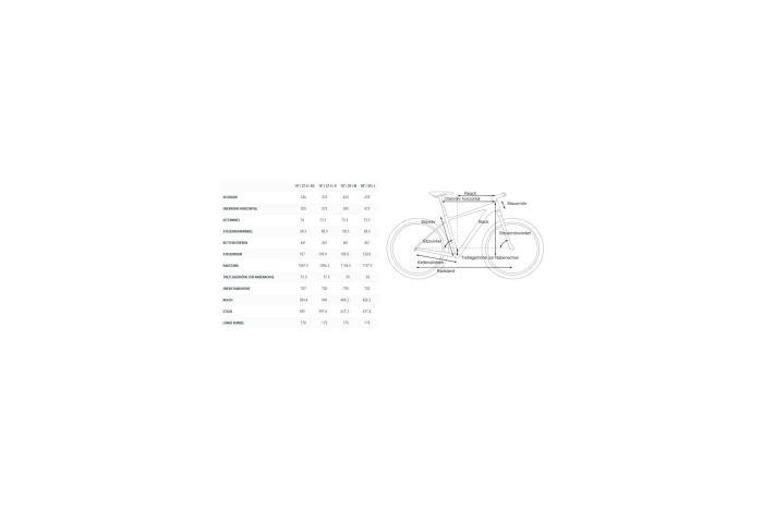 Cube Access WS SL - 27,5 Zoll - Diamant - Aktion