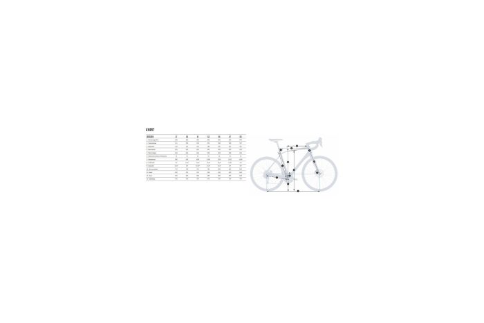 Orbea Alma H20 - 29 Zoll - Diamant - Aktion