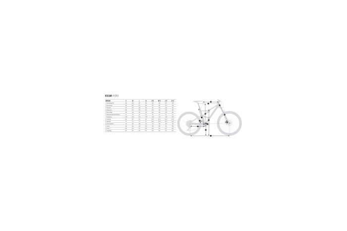 Orbea Occam H20 Eagle - 29 Zoll - Fully - Aktion
