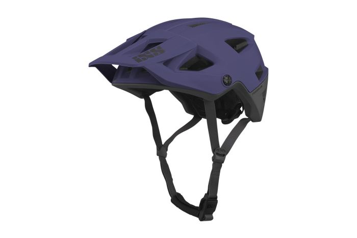 IXS Trigger AM
