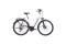 Hercules Pasero Sport I-10 - 750 Wh - 28 Zoll - Tiefeinsteiger - 2023
