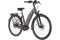 Carver Cityzen E.420 RT - 500 Wh - 28 Zoll - Tiefeinsteiger - 2024