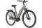Carver Cityzen E.440 FL - 500 Wh - 28 Zoll - Tiefeinsteiger - 2024