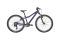 Bergamont Revox 24 - 24 Zoll - Diamant - 2024