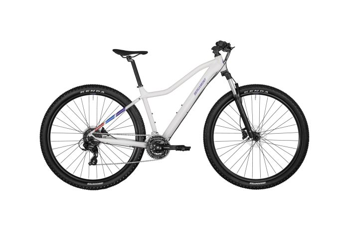 Bergamont Revox 3 FMN - 29 Zoll - Diamant - 2024
