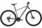 Carver Strict 110 - 29 Zoll - Diamant - 2024