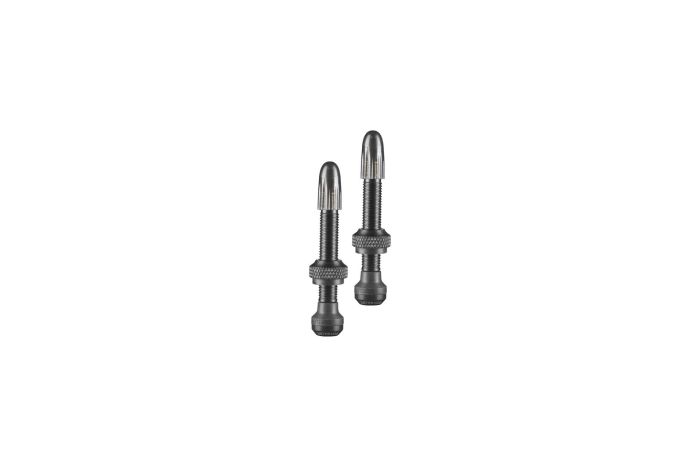 Schwalbe Tubeless Ventil Aluminium SV - 2er Set