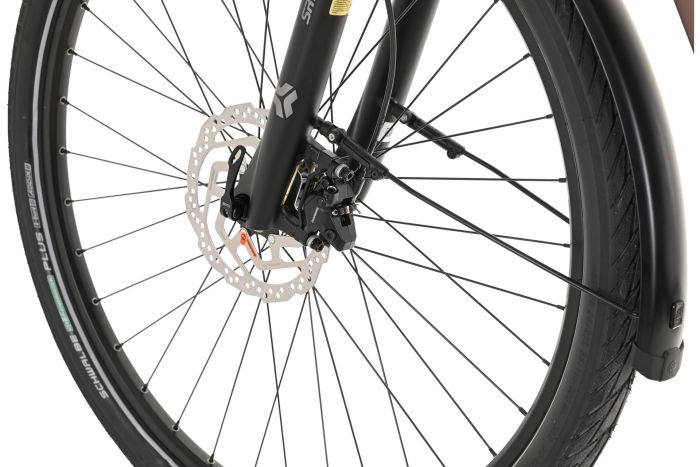 Carver Route E.530 - 625 Wh - 28 Zoll - Damen Sport - 2025