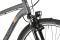 Carver Cityzen 140 LTD RT - 28 Zoll - Diamant - 2024