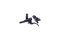 Shimano Scheibenbremsen-Kit SLX M7100