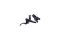 Shimano Scheibenbremsen-Kit SLX M7100