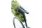 deuter Mondego SB 16
