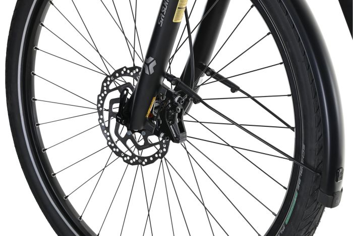 Carver Route E.540 - 625 Wh - 28 Zoll - Damen Sport - 2025