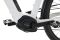 Carver Route E.510 - 500 Wh - 28 Zoll - Damen Sport - 2025
