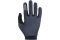 ION Logo Handschuhe