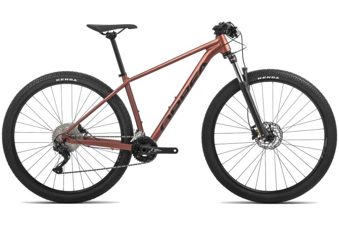 Orbea Onna 29 30 - 29 Zoll - Diamant - Aktion
