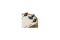 KLICKfix by Rixen&Kaul Korb Doggy Basket