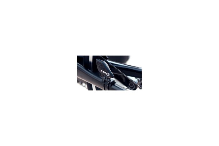 Sigma BC 12.0 WL STS CAD