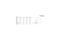 Santa Cruz Heckler 9 C S-Kit - 720 Wh - 29 Zoll - Fully