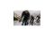 RAPHA Pro Team Gloves