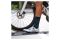 SPORCKS Grand Colombier Black