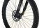 Carver Strict E.400 LTD - 400 Wh - 29 Zoll - Diamant