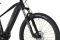 Carver Strict E.400 LTD - 400 Wh - 29 Zoll - Diamant