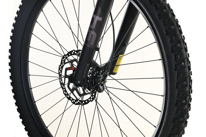 Carver Strict E.400 LTD - 400 Wh - 29 Zoll - Diamant