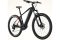 Carver Strict E.400 LTD - 400 Wh - 29 Zoll - Diamant