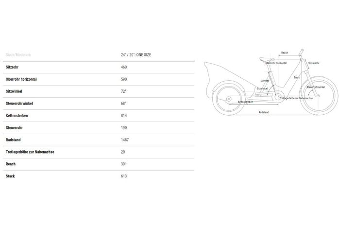 Cube Trike Hybrid Cargo 750 - 750 Wh - 24 Zoll - 2025