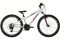 Carver Strict 24 Girl - 24 Zoll - Diamant - 2024