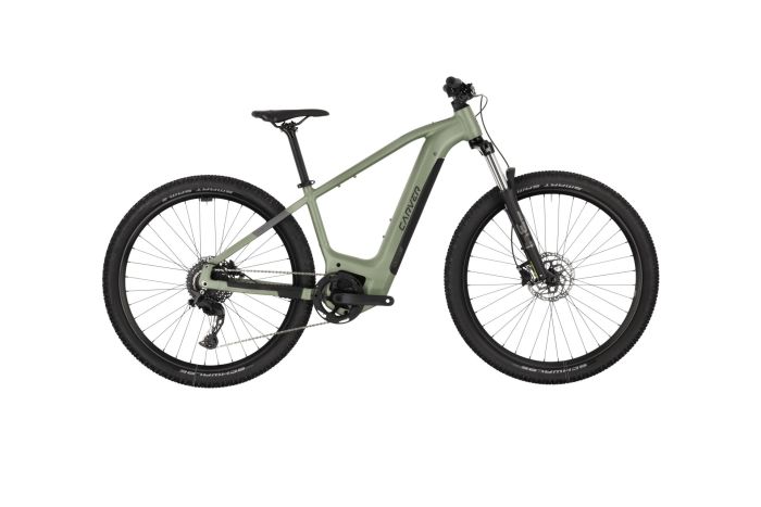 Carver Strict E.520 - 625 Wh - 29 Zoll - Diamant