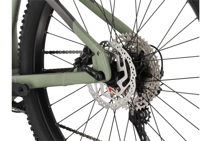 Carver Strict E.540 - 625 Wh - 29 Zoll - Diamant