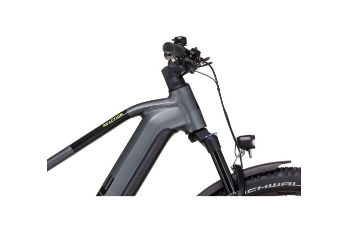 Cube Reaction Hybrid Pro 750 Allroad - 750 Wh - 29 Zoll - Diamant - 2023