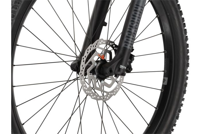 Carver Drift E.510 - 500 Wh - 29 Zoll - Fully