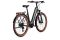 Kalkhoff Entice 5 Season - 625 Wh - 29 Zoll - Tiefeinsteiger - 2025