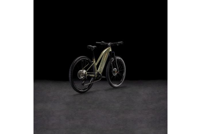 Cube Reaction Hybrid Pro 600 - 600 Wh - 29 Zoll - Damen Sport